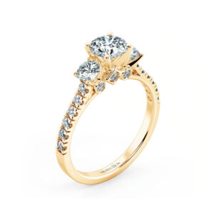 Nhẫn cầu hôn NCH3205